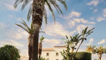 A landscaped garden with a fountain, palm trees, and a building with a tiled roof.