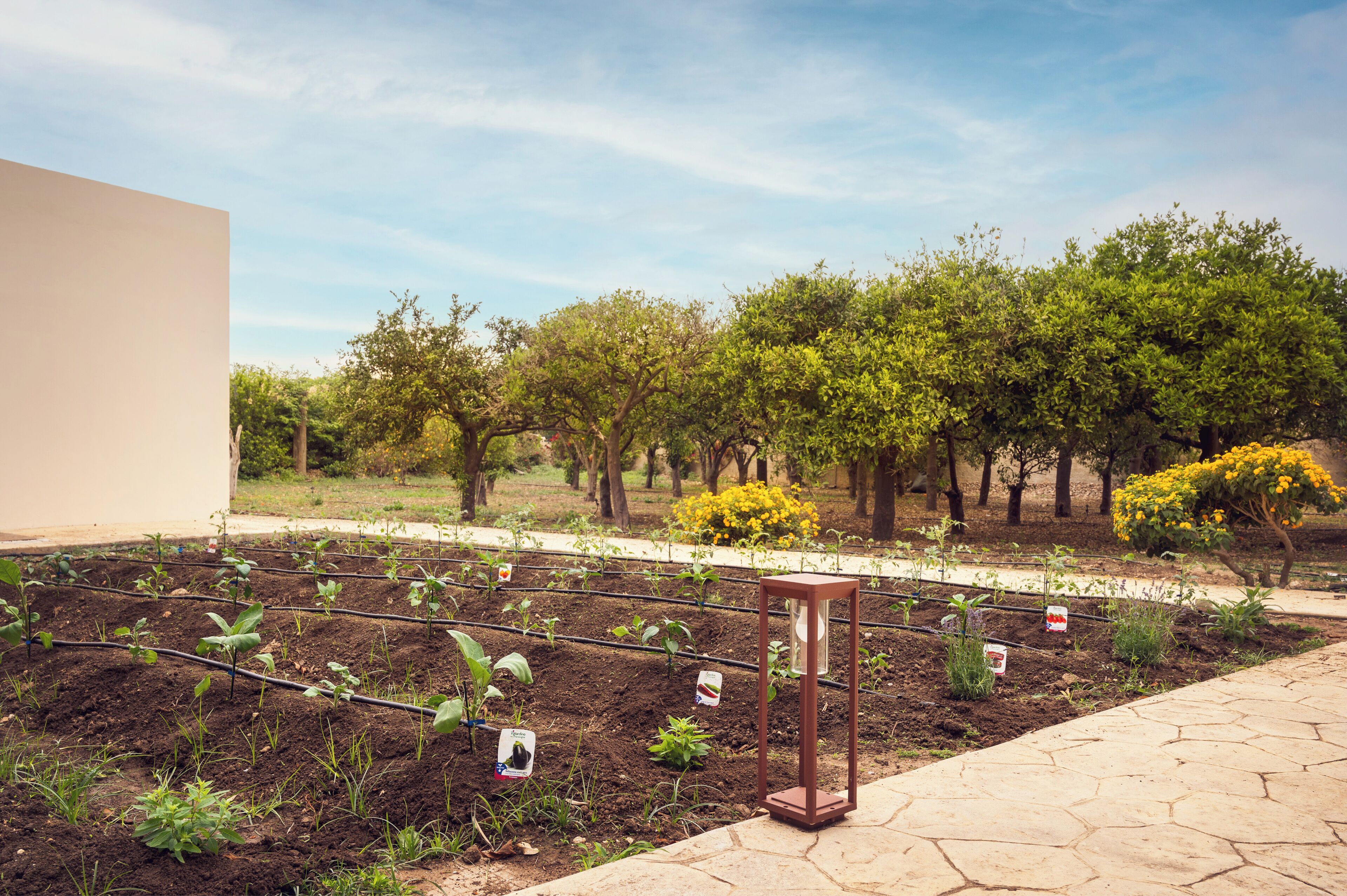 Un jardin avec des plates-bandes surélevées, un chemin et une structure métallique.