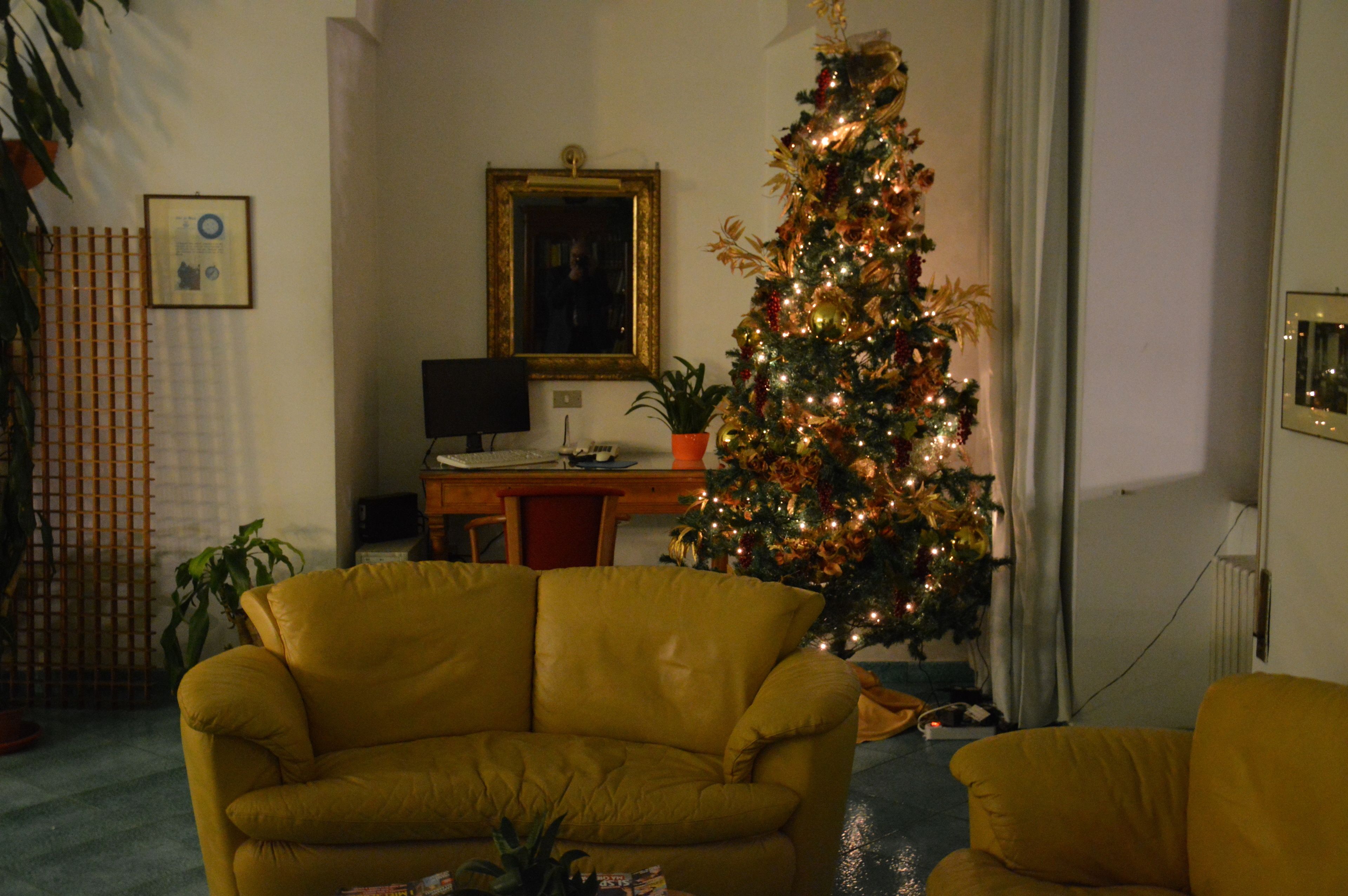 Ein Wohnzimmer mit einem gelben Sofa, einem Weihnachtsbaum, einem gerahmten Bild und einem Computertisch.