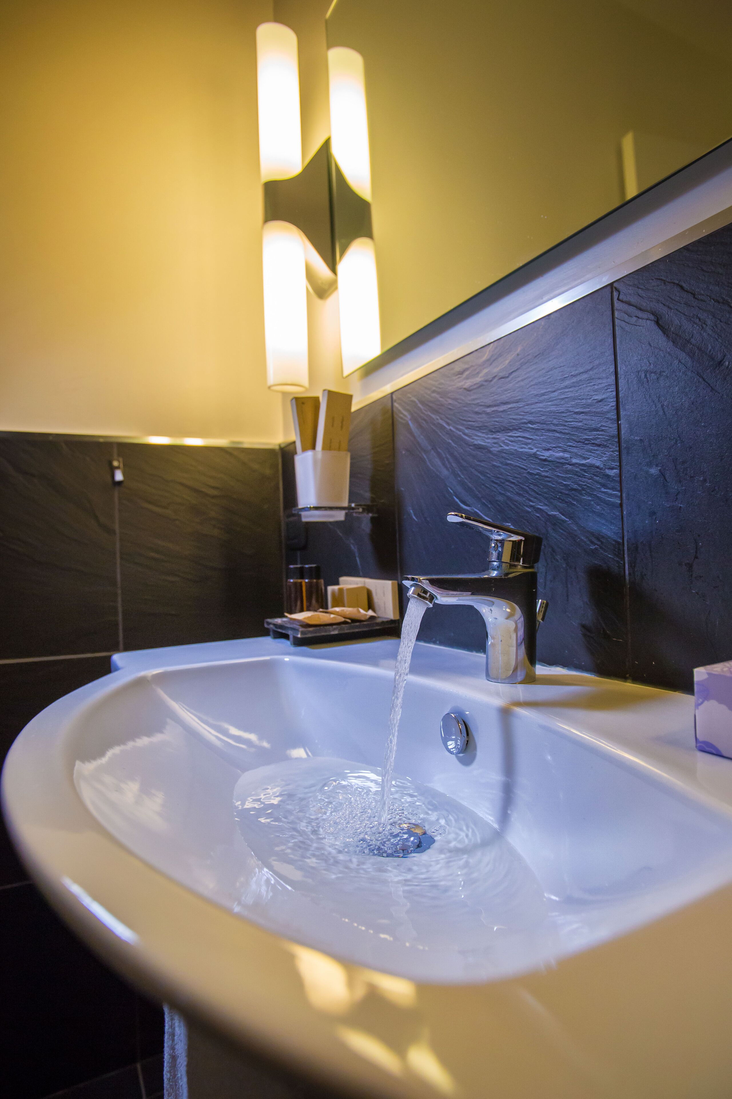 deluxe suite | bathroom | shower, rainfall showerhead, free toiletries, hair dryer