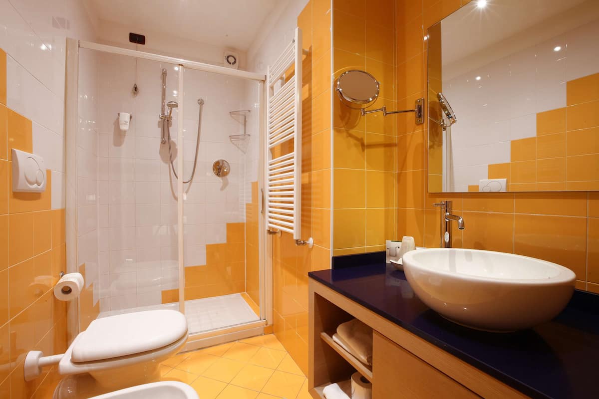 shower, free toiletries, hair dryer, bidet
