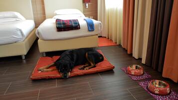 A hotel room with two beds, a dog lying on a red mat, and two pet bowls on the floor.
