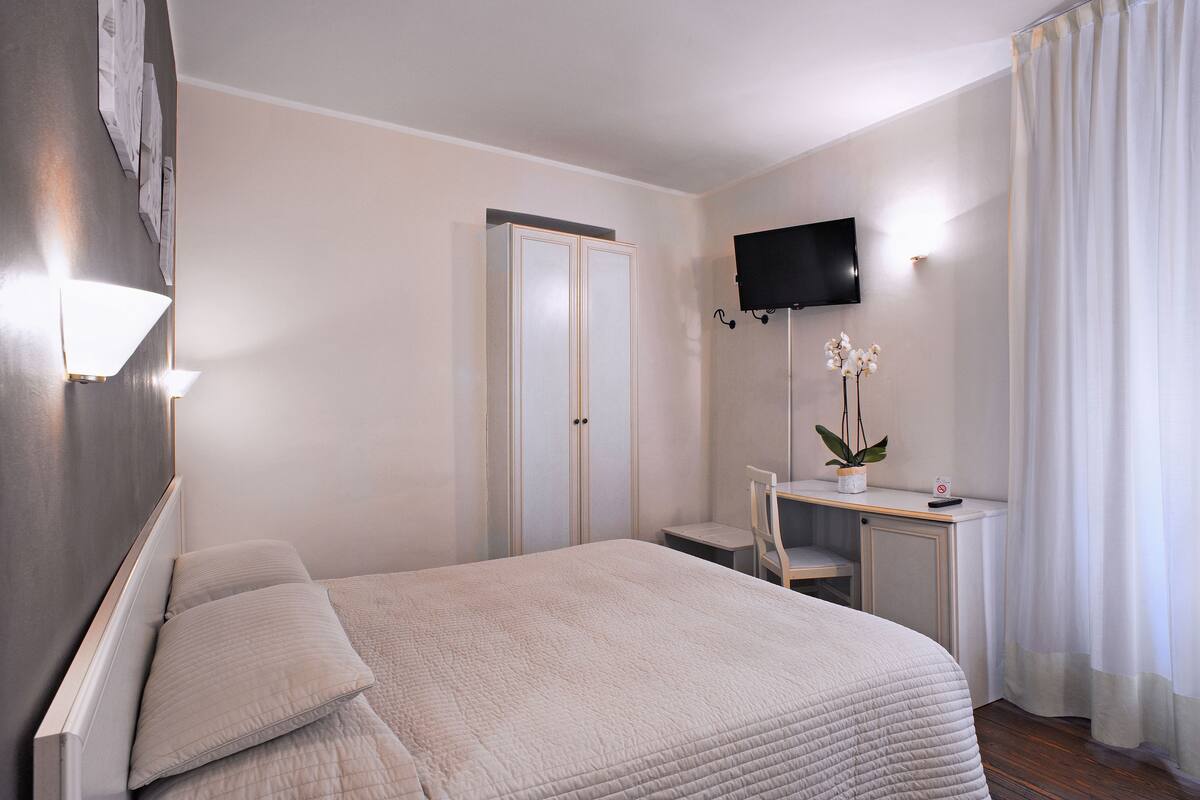 A hotel room with a bed, a desk, a chair, a television, and a plant.