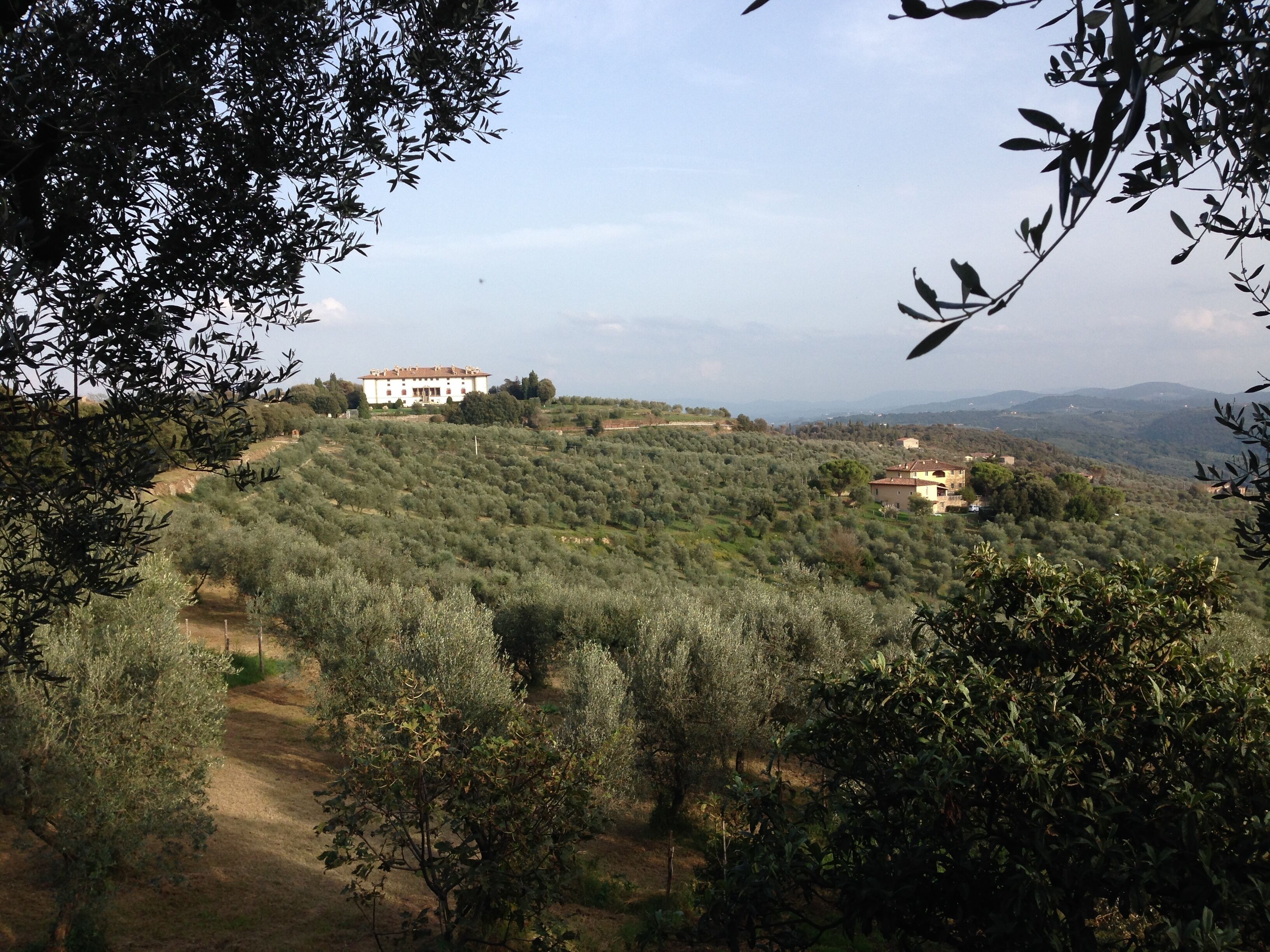 Photo - Hotel Hermitage