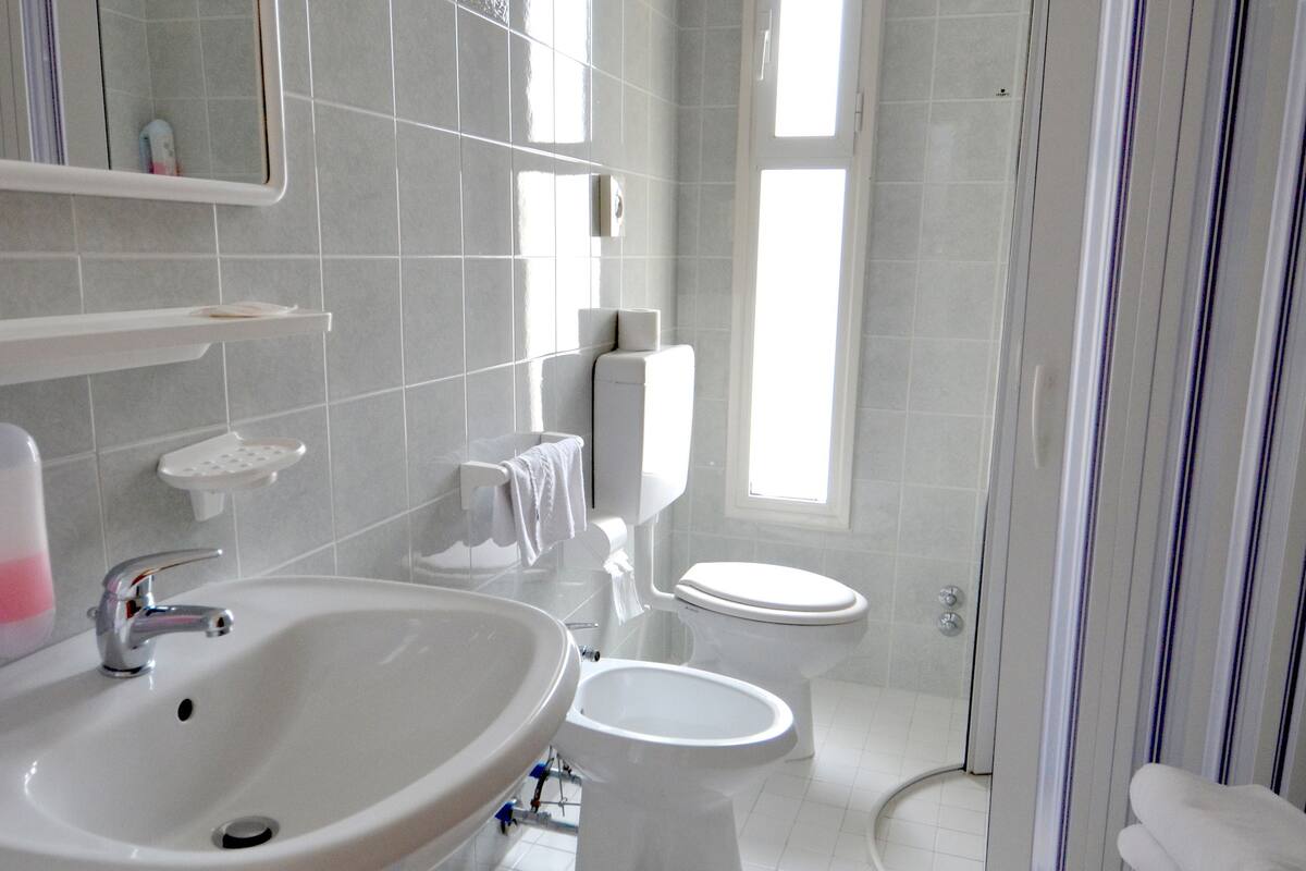 shower, free toiletries, hair dryer, towels