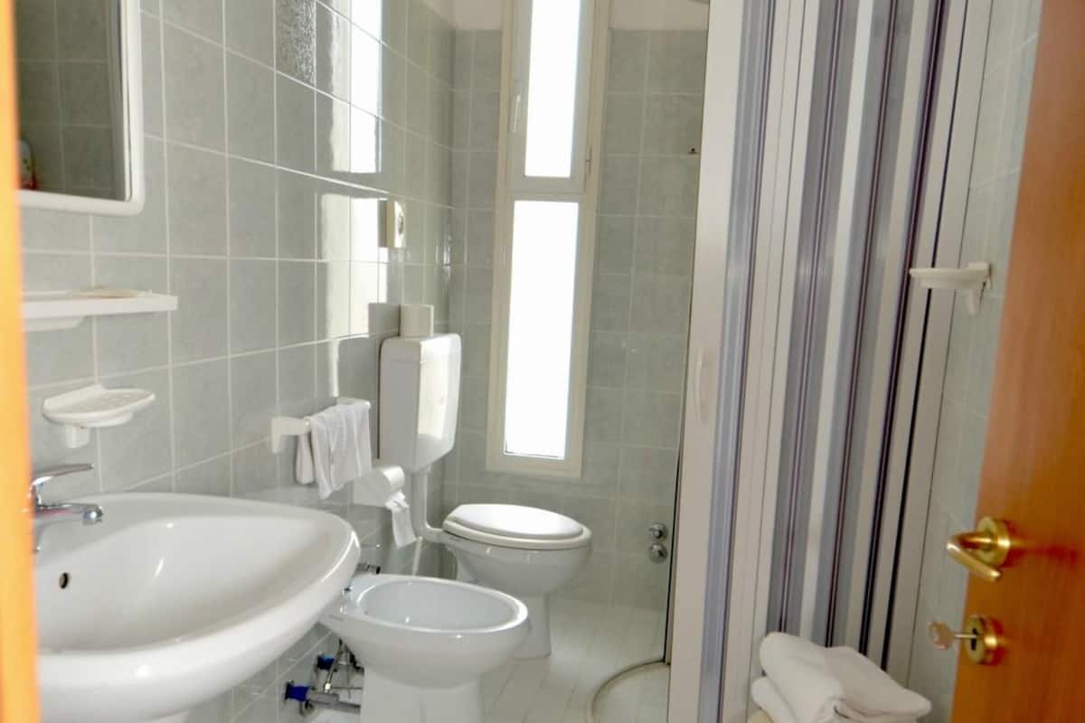 shower, free toiletries, hair dryer, towels