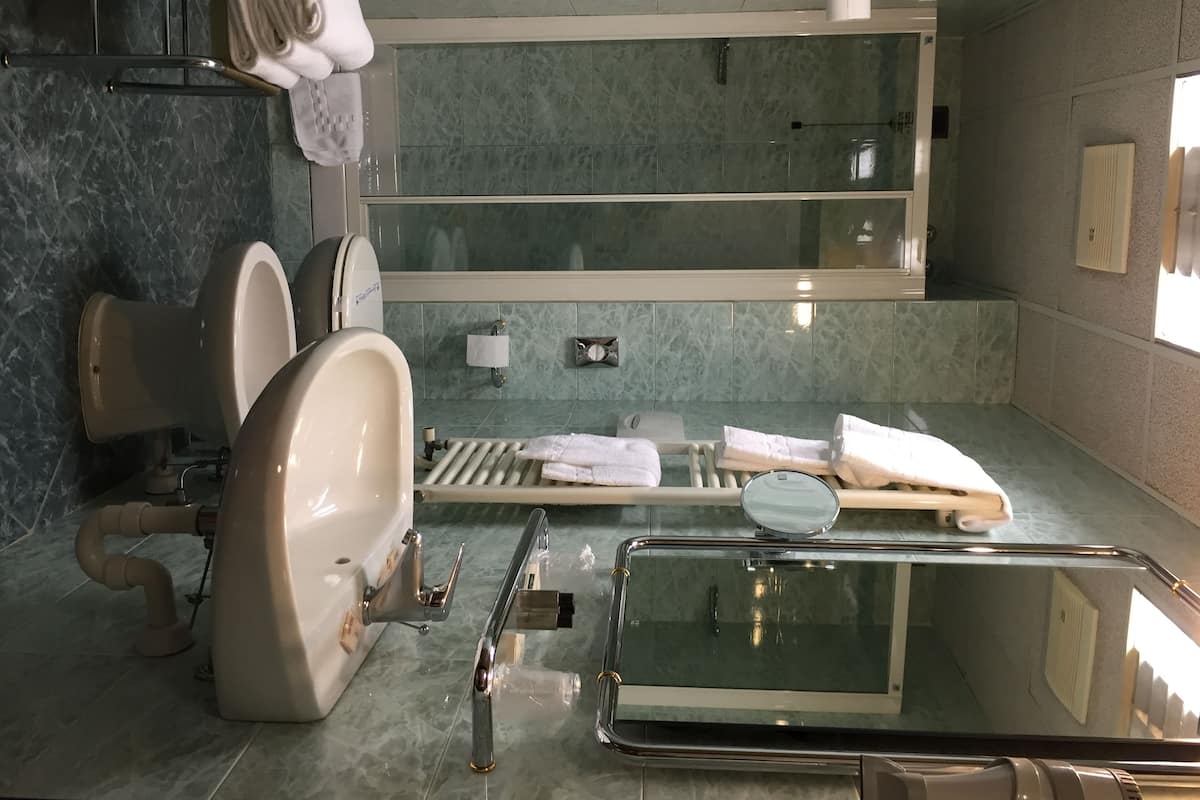 A modern bathroom with a large bathtub, a toilet, and a shower area.
