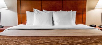 Comfort Inn & Suites University South