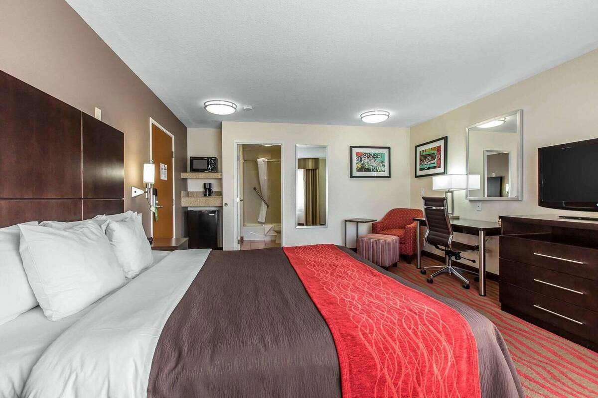 A hotel room with a bed, a desk, a chair, a television, a microwave, and a shower.