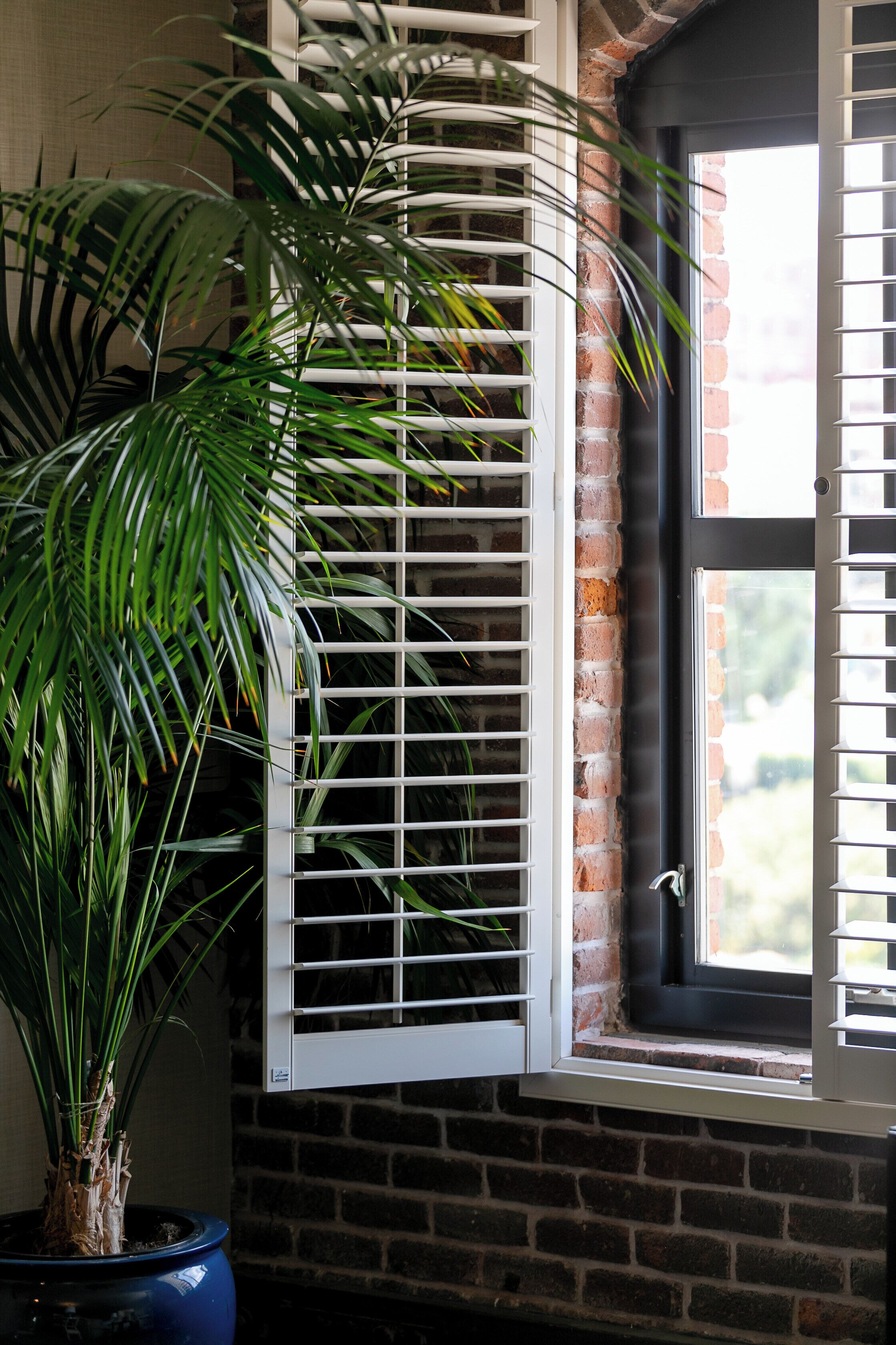 A room with a potted plant, a window with white shutters, and a brick wall.
