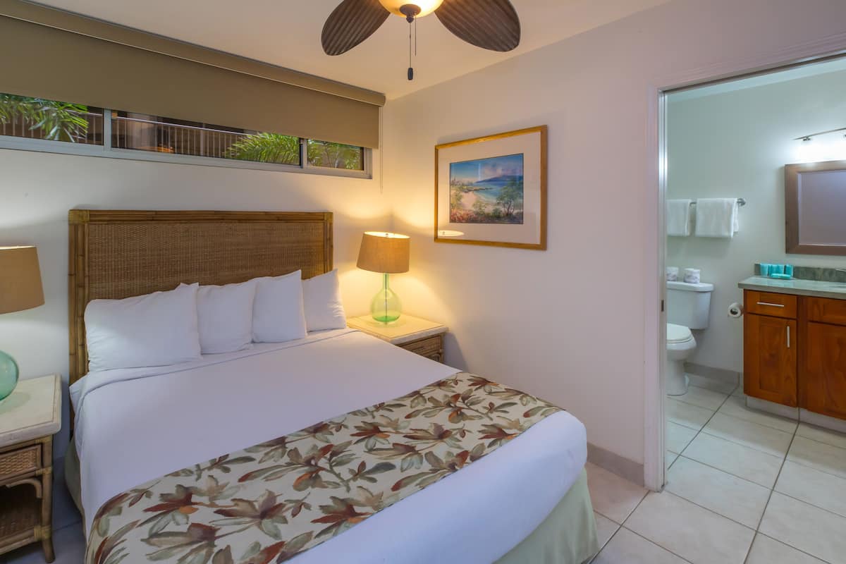 Condo, 1 Bedroom, Park View (Unit 205 ,1Bath)