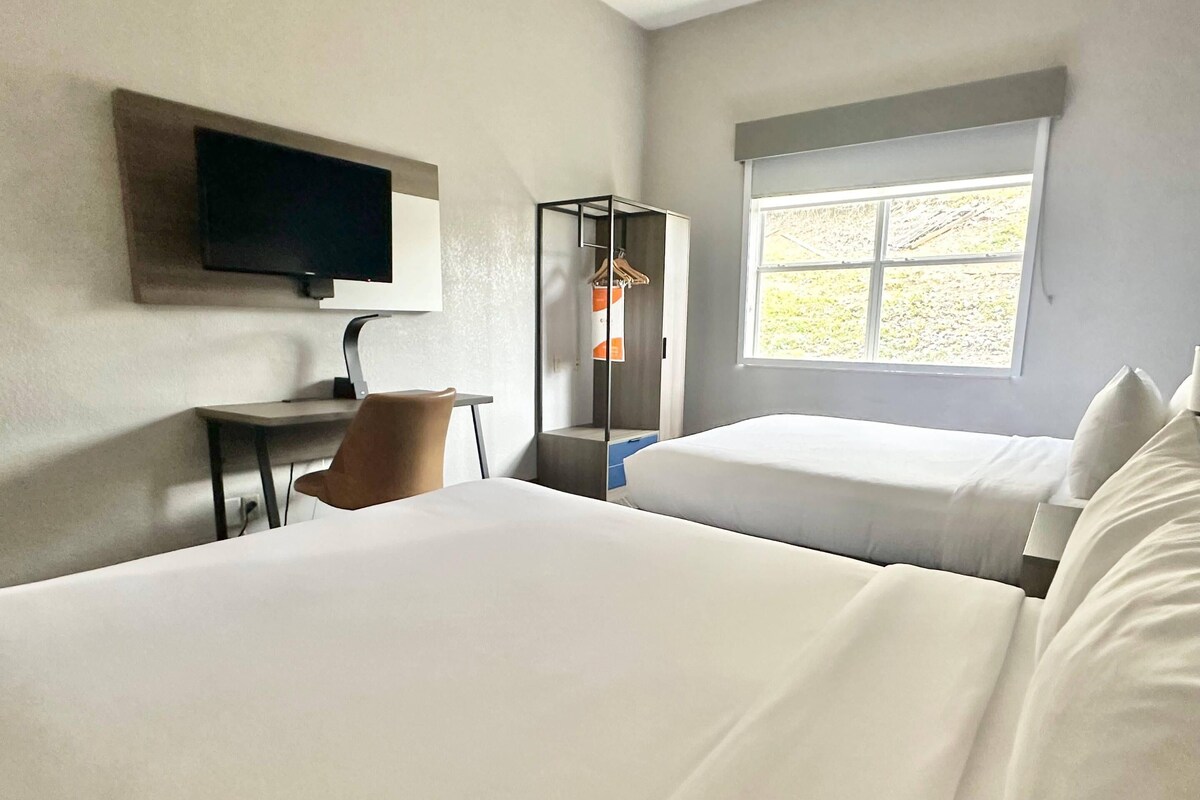A hotel room with two beds, a desk, a chair, a TV, and a window with a view of greenery.