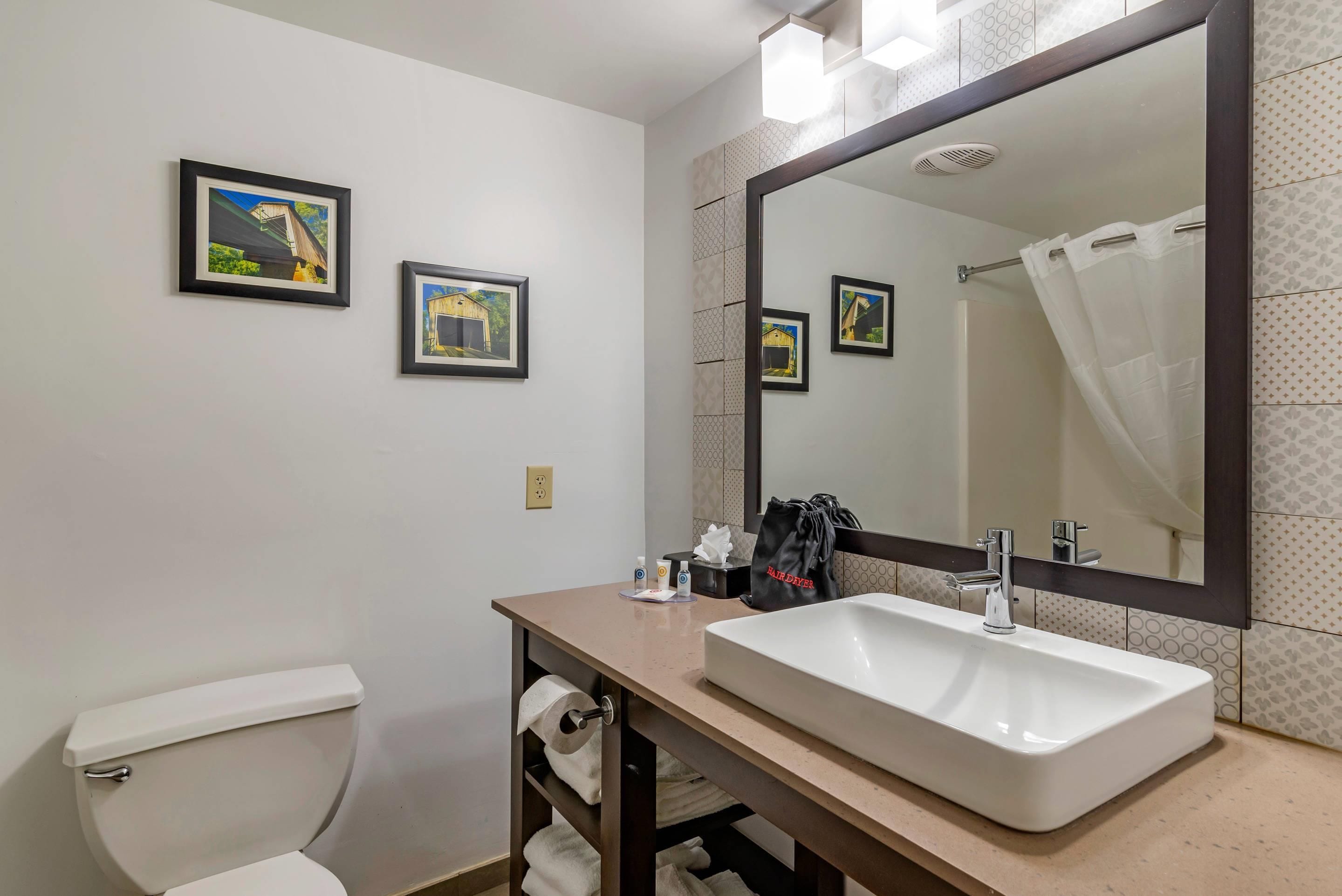 Une salle de bain avec des toilettes, un lavabo, un miroir et deux tableaux encadrés accrochés au mur.