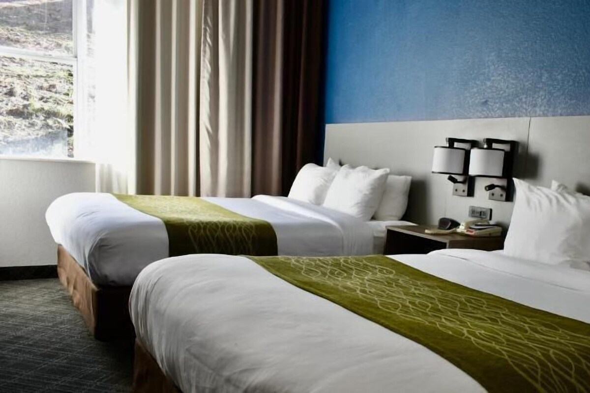A hotel room with two beds, a nightstand, a lamp, and a view of the outdoors.