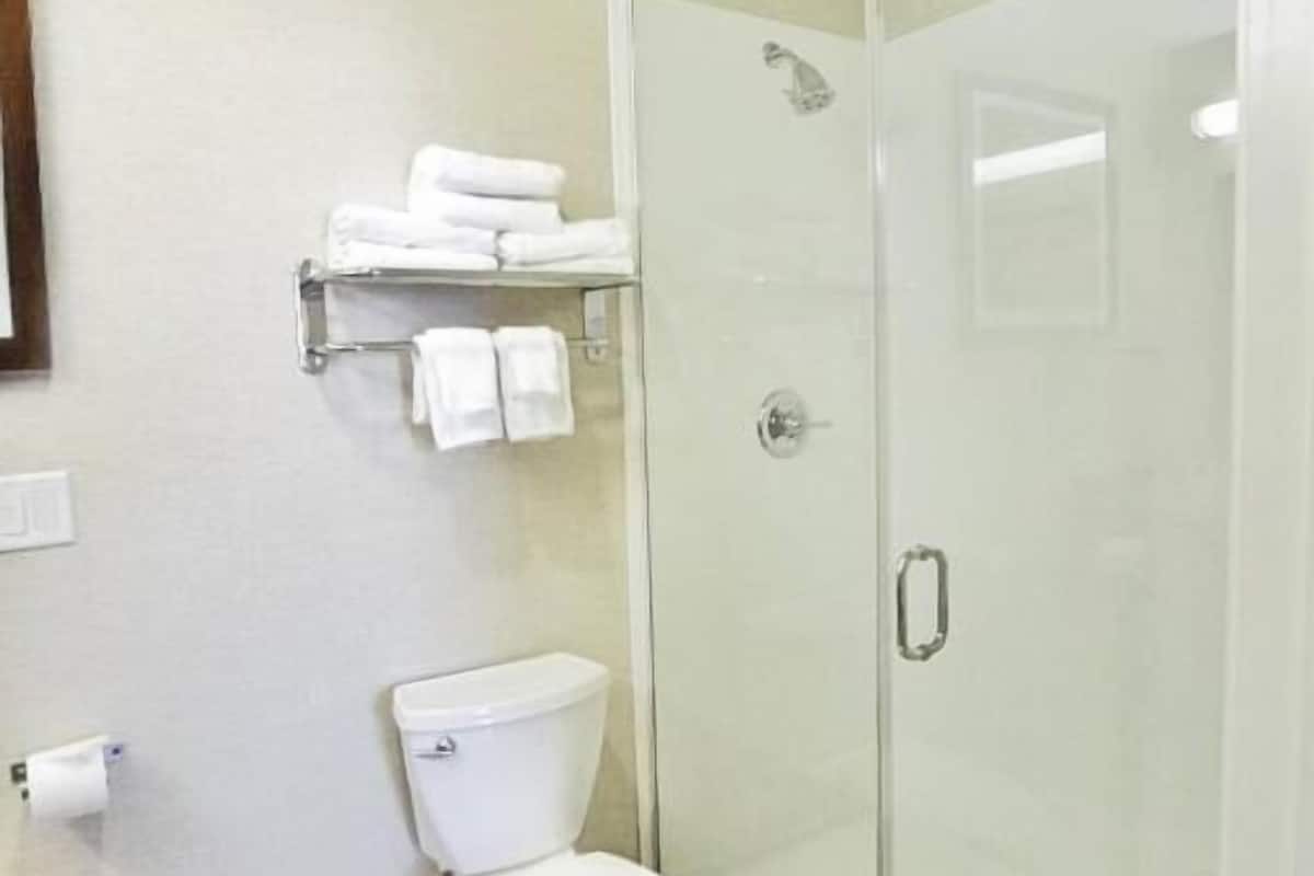 free toiletries, hair dryer, towels