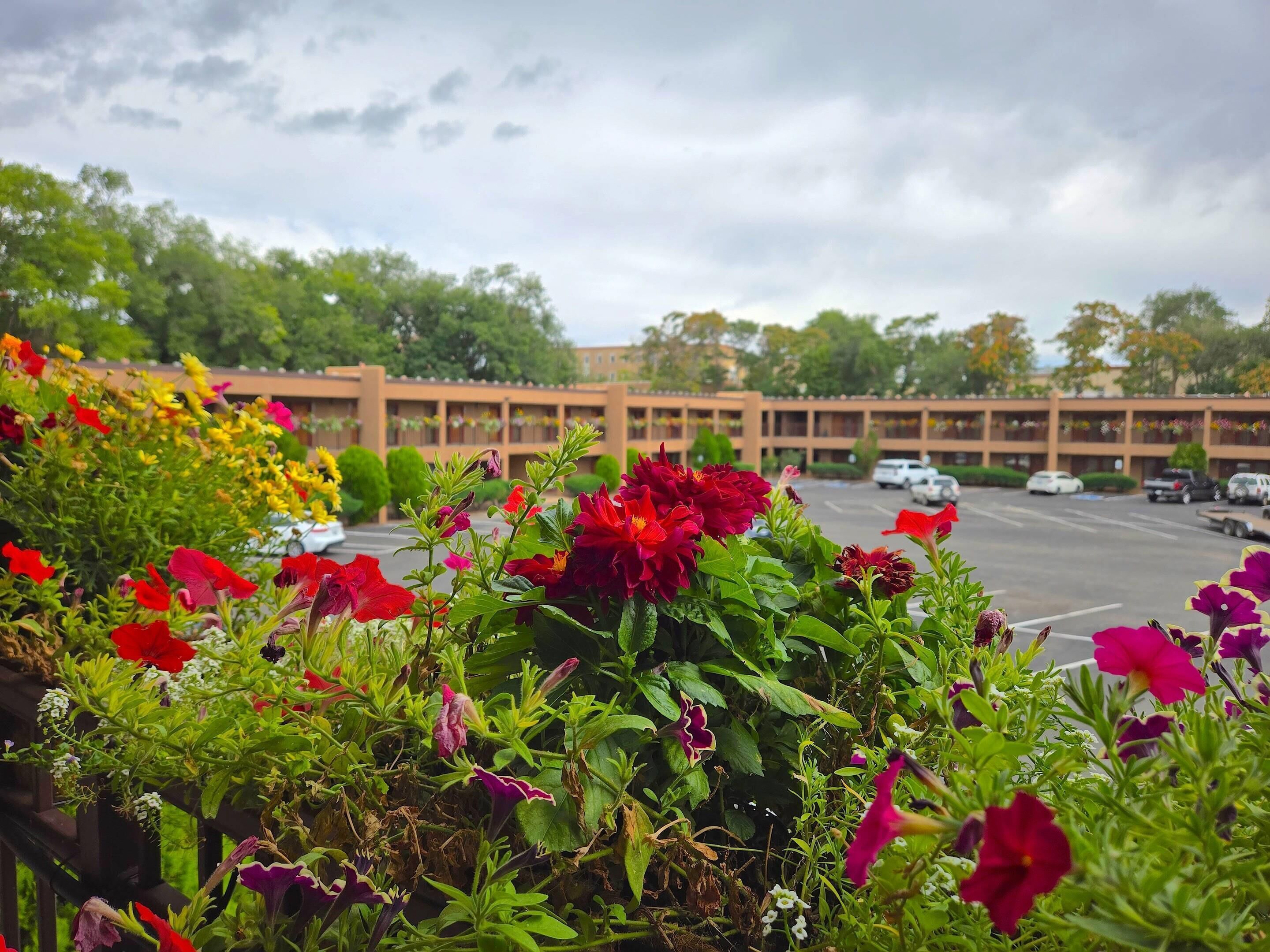 Foto - El Sendero Inn, an Ascend Collection Hotel