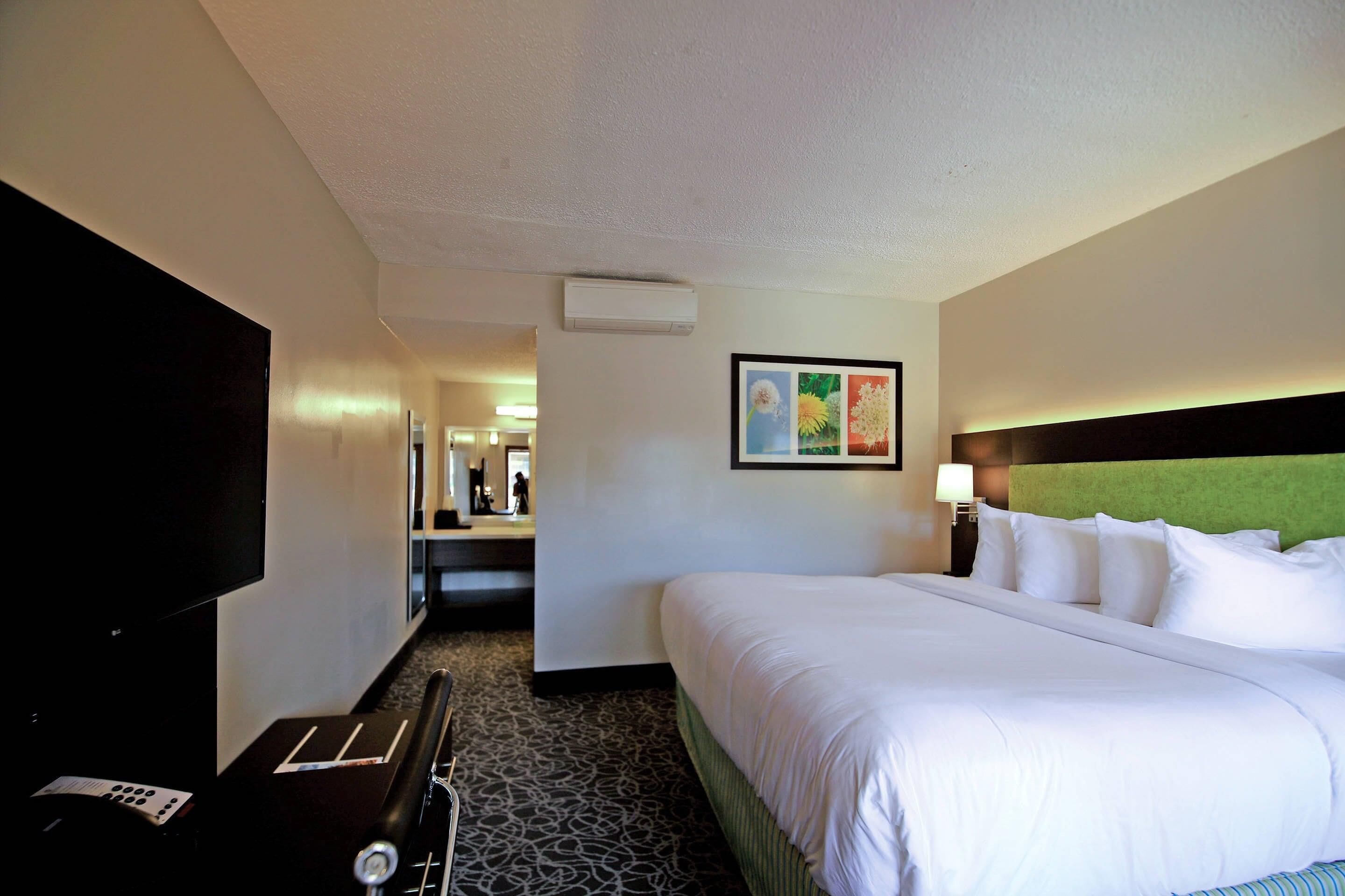 A hotel room with a large bed, a flat-screen TV, a desk with a telephone, and a framed picture on the wall.