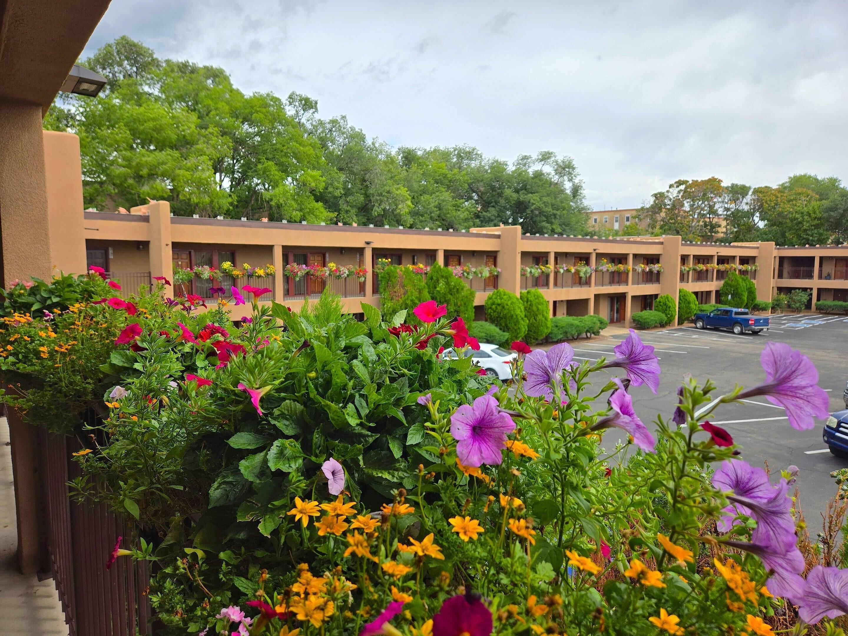 A building with multiple balconies, each adorned with flower boxes.
