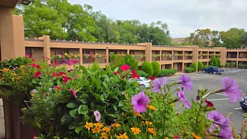 Servicio de la propiedad