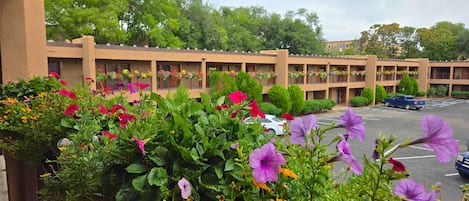 A building with multiple balconies, each adorned with flower boxes.
