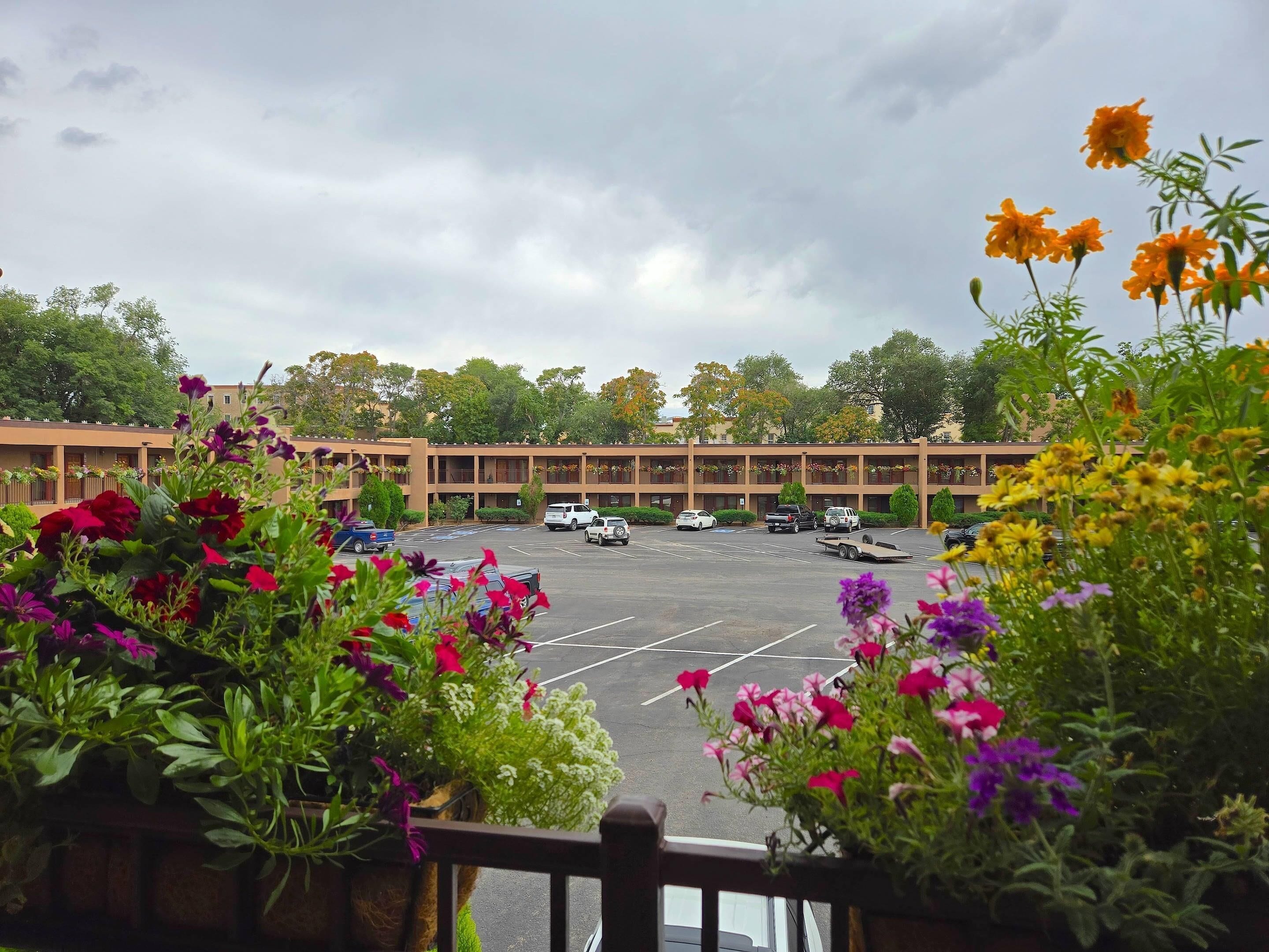 A parking lot with several cars, a building with multiple floors and balconies, and surrounding greenery.