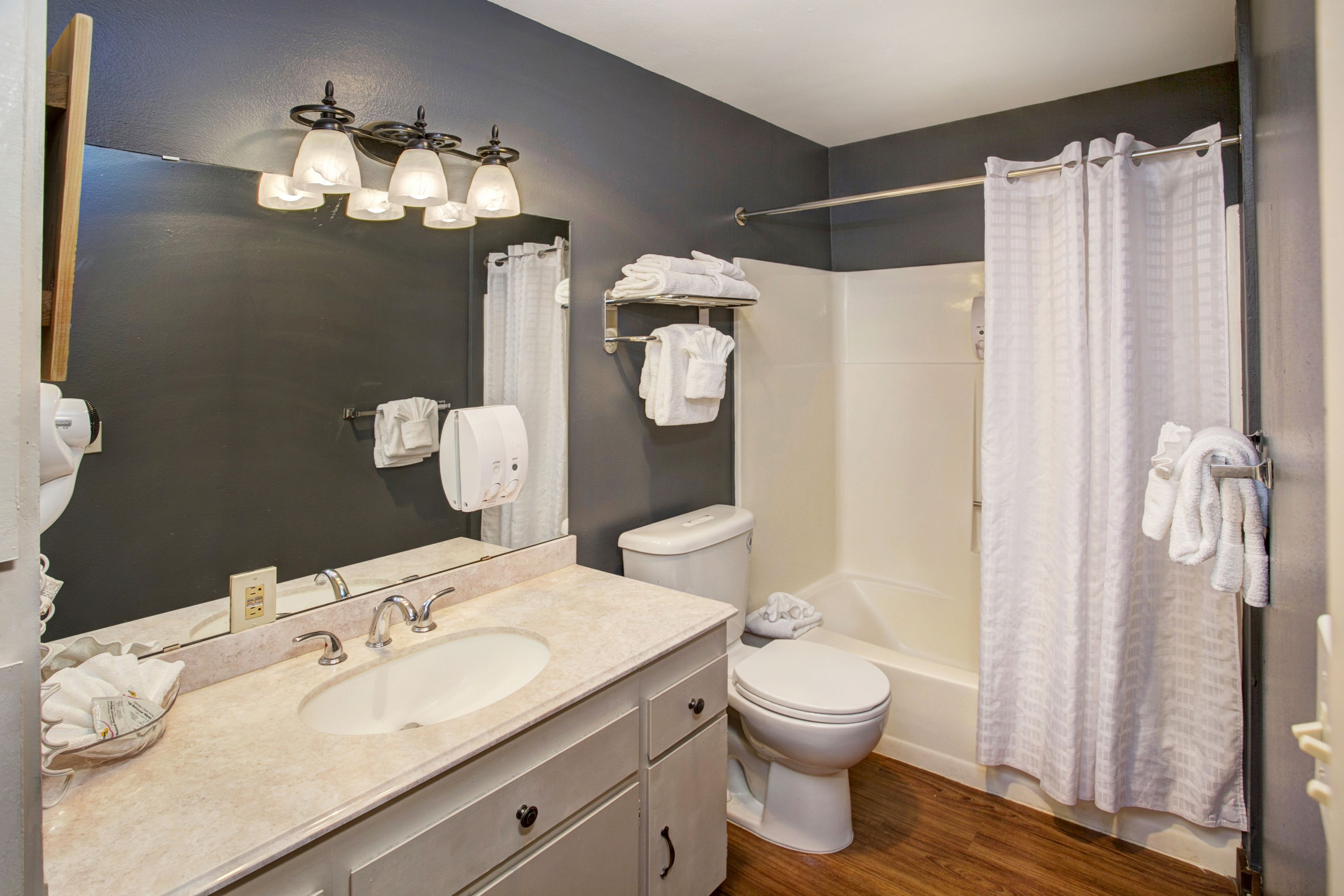 suite, 1 bedroom, kitchen | bathroom | combined shower/bathtub, eco-friendly toiletries, hair dryer, towels