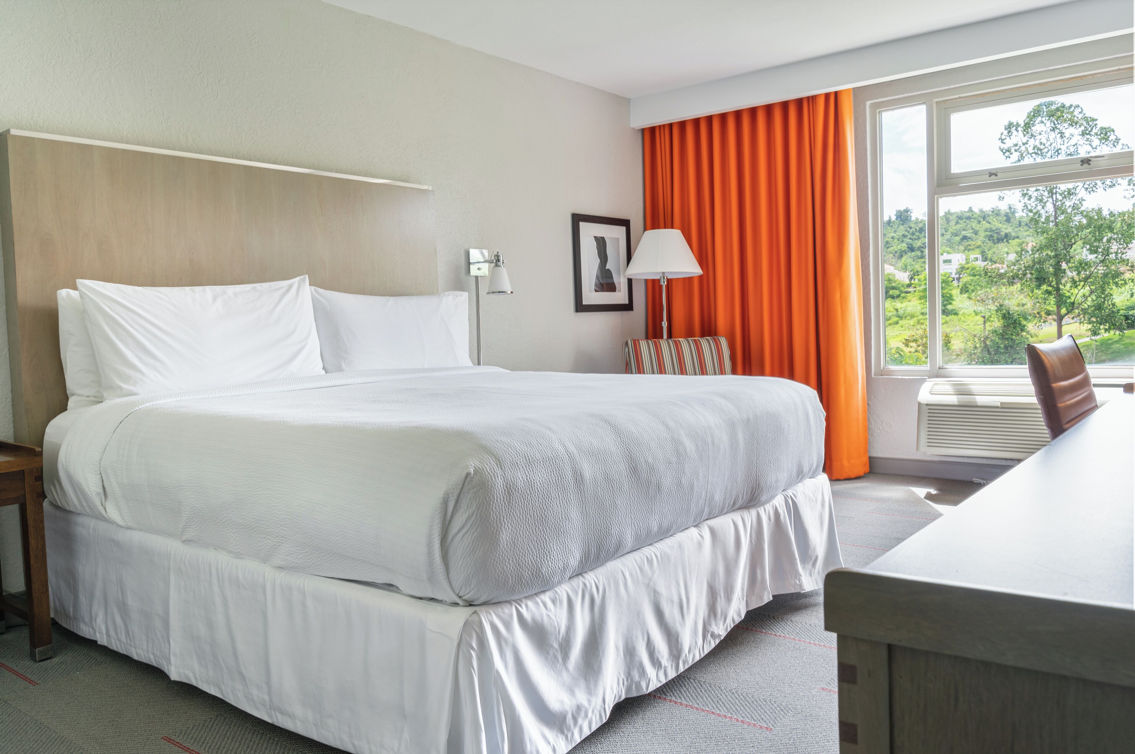 standard room, 1 king bed | hypo-allergenic bedding, select comfort beds, in-room safe, desk