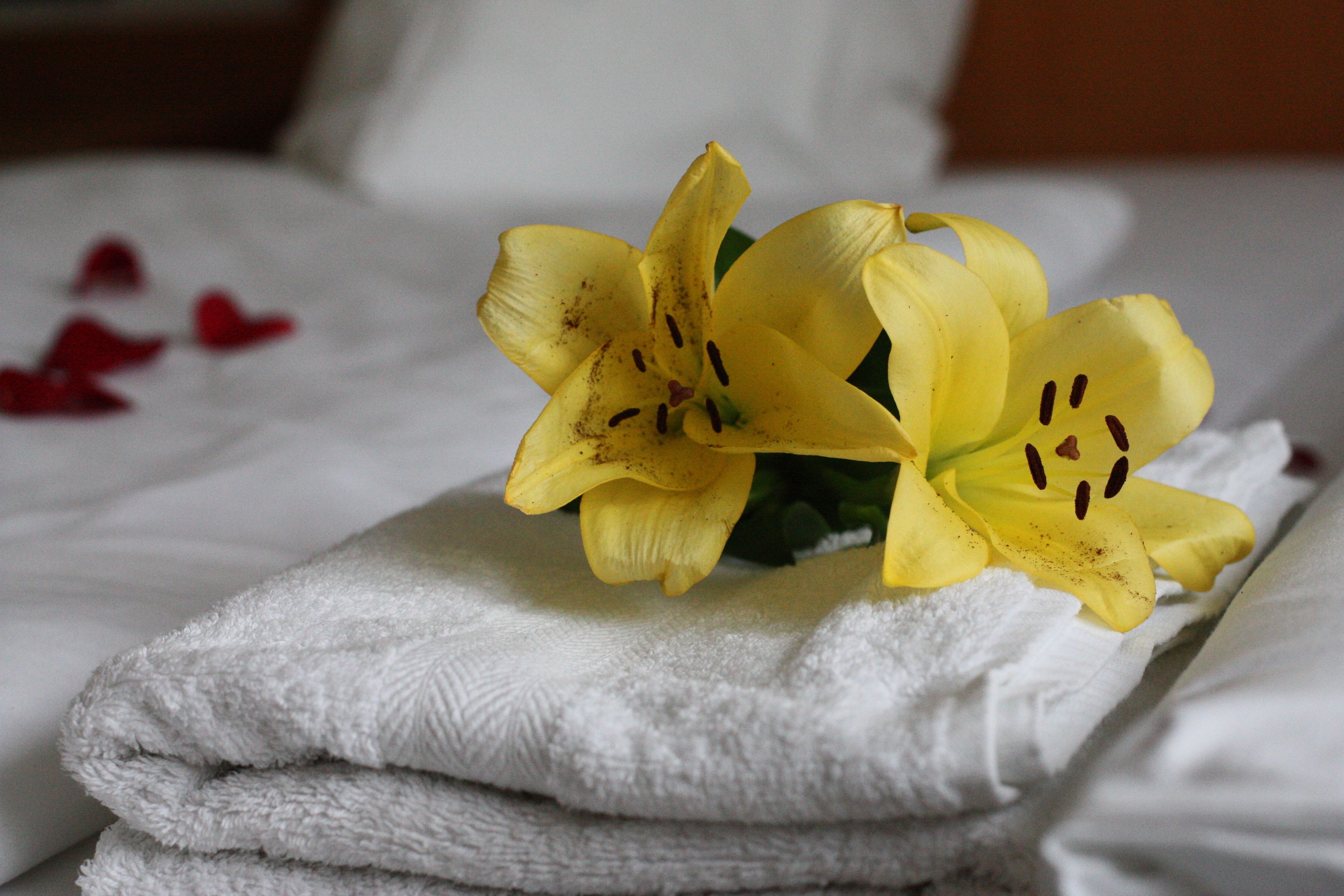 Foto - Hotel Mainbogen