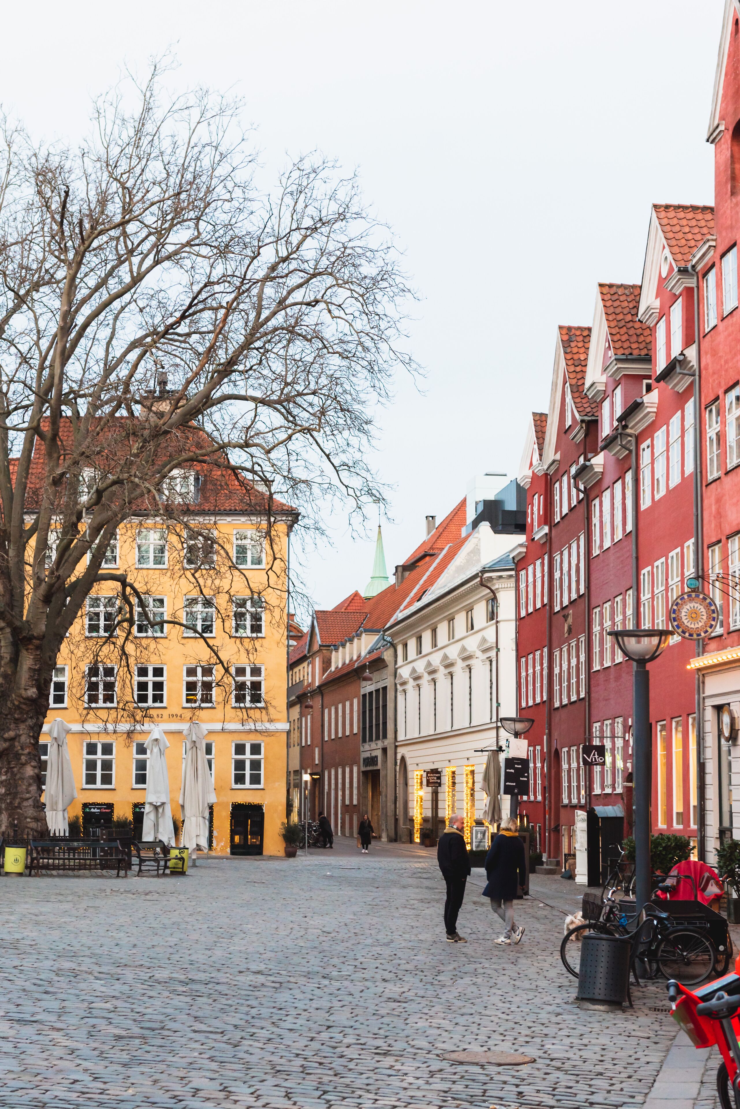 A cobblestone street lined with historic buildings, a tree, and a bicycle parked by the sidewalk.