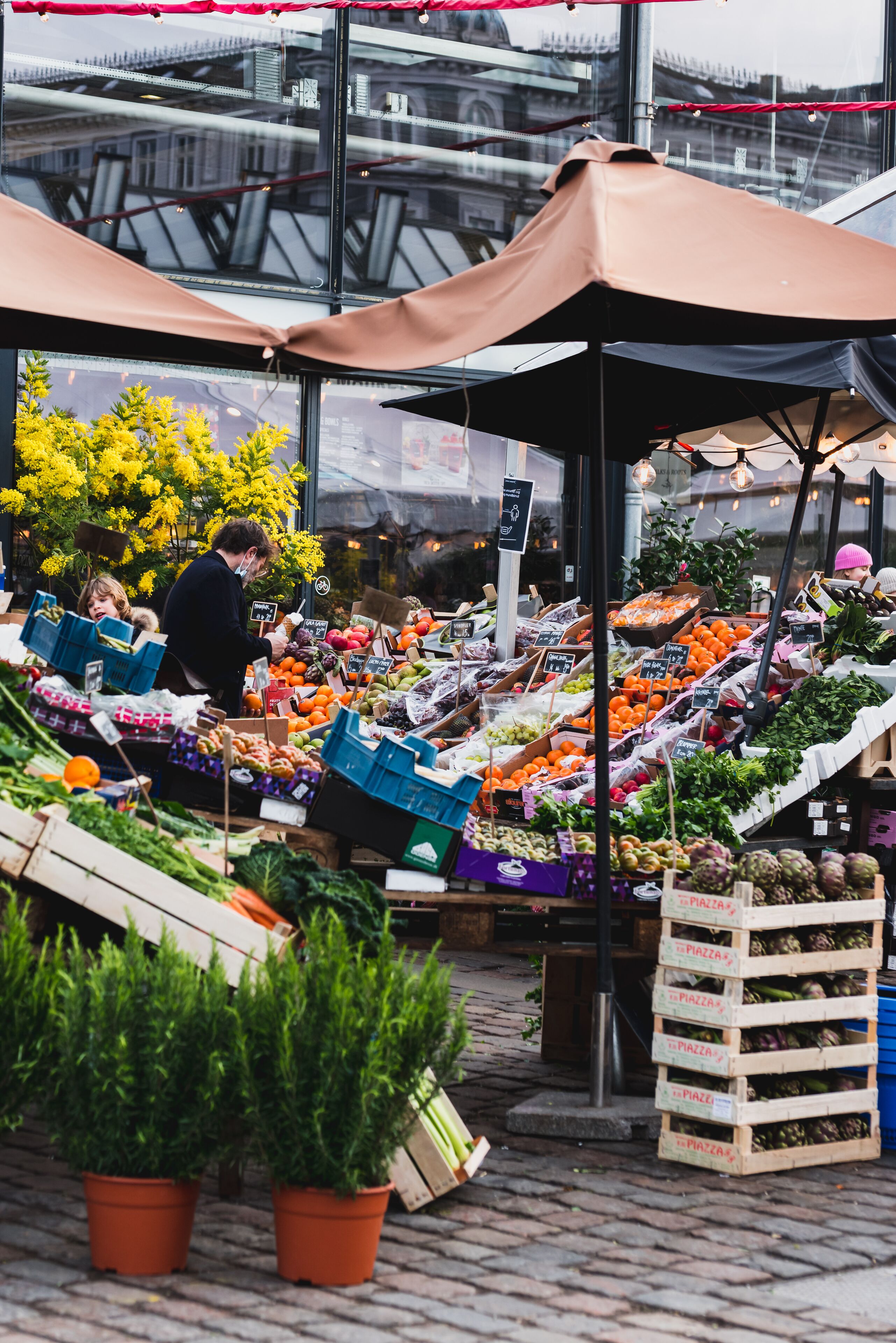 An outdoor market with various stalls selling fruits, vegetables, and plants.