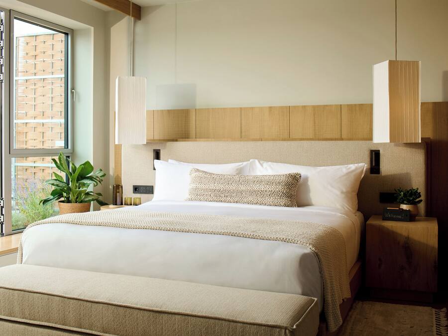 A modern hotel room with a large bed, a bedside table with a lamp, a small potted plant, and a window with a view of a building.