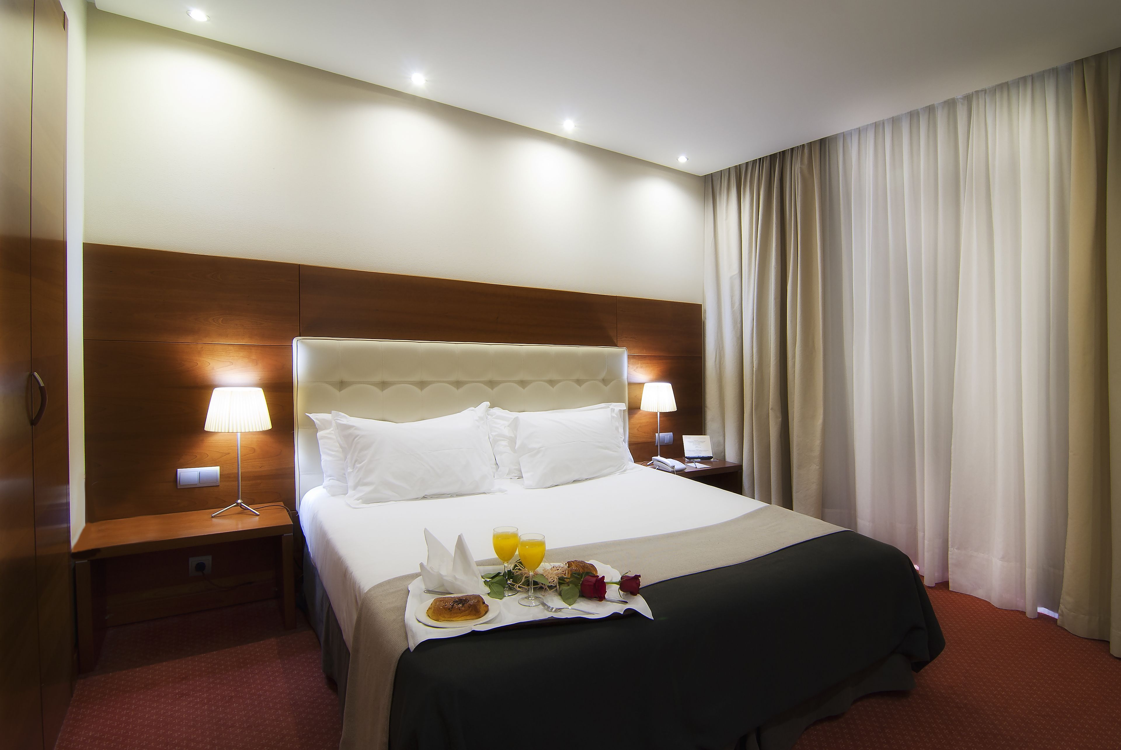 standard double room, city view | 1 bedroom, down duvets, minibar, in-room safe