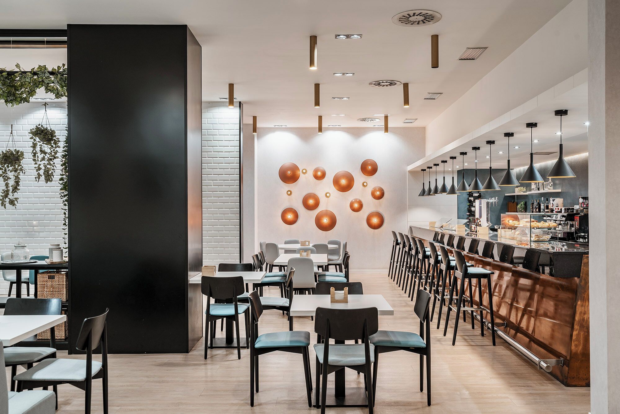 Foto - Dorma Coliseum