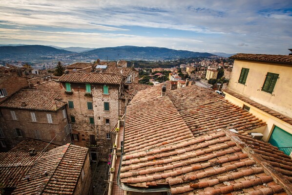 Vista de tejados de teja terracota y edificios con contraventanas verdes, con vistas a un valle y montañas lejanas.