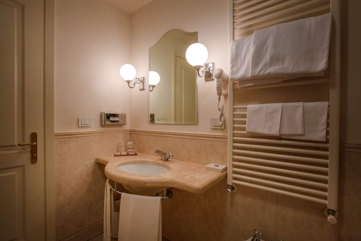 shower, free toiletries, hair dryer, bidet