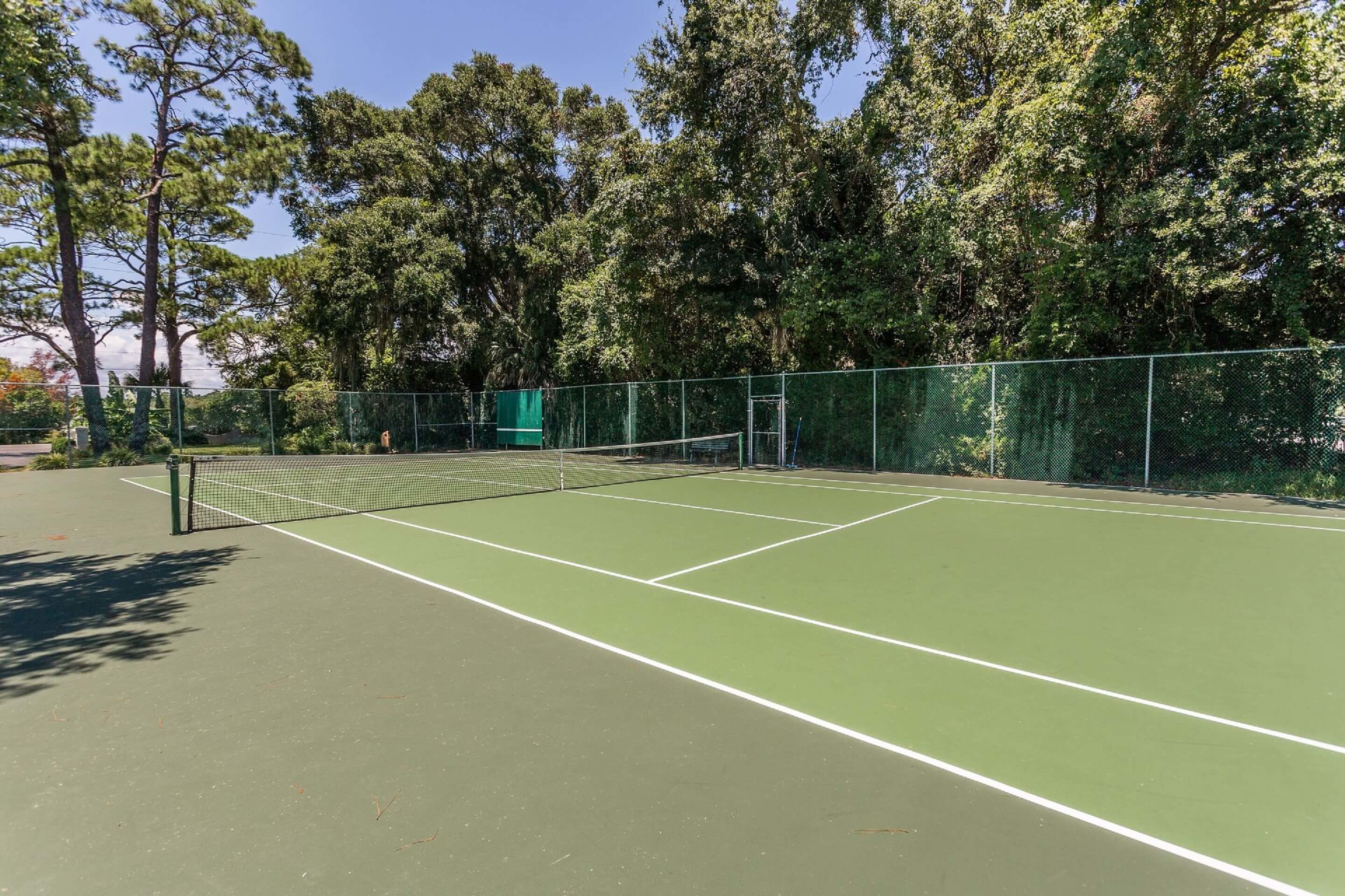 A tennis court with a net, surrounded by trees and a green fence.