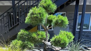 A Zen garden with a statue, surrounded by various plants and rocks. - Timbers INN and Suites (Ashland)