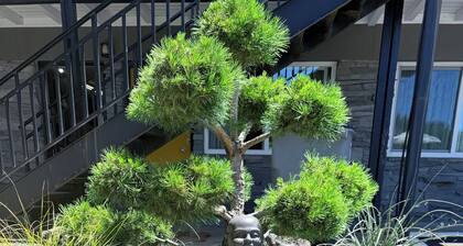 Timbers INN and Suites