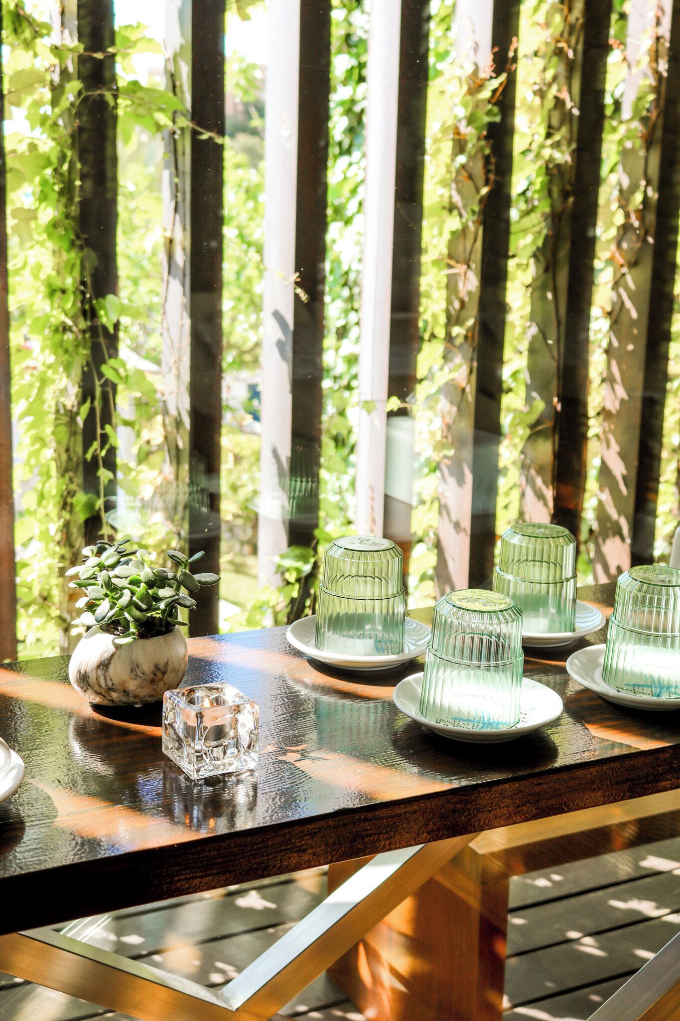 A wooden table with glassware and a potted plant, set against a backdrop of greenery and vertical blinds.