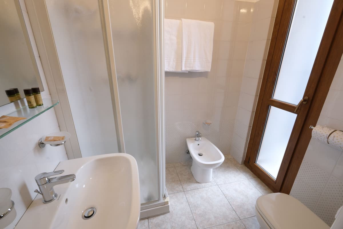 shower, free toiletries, hair dryer, bidet
