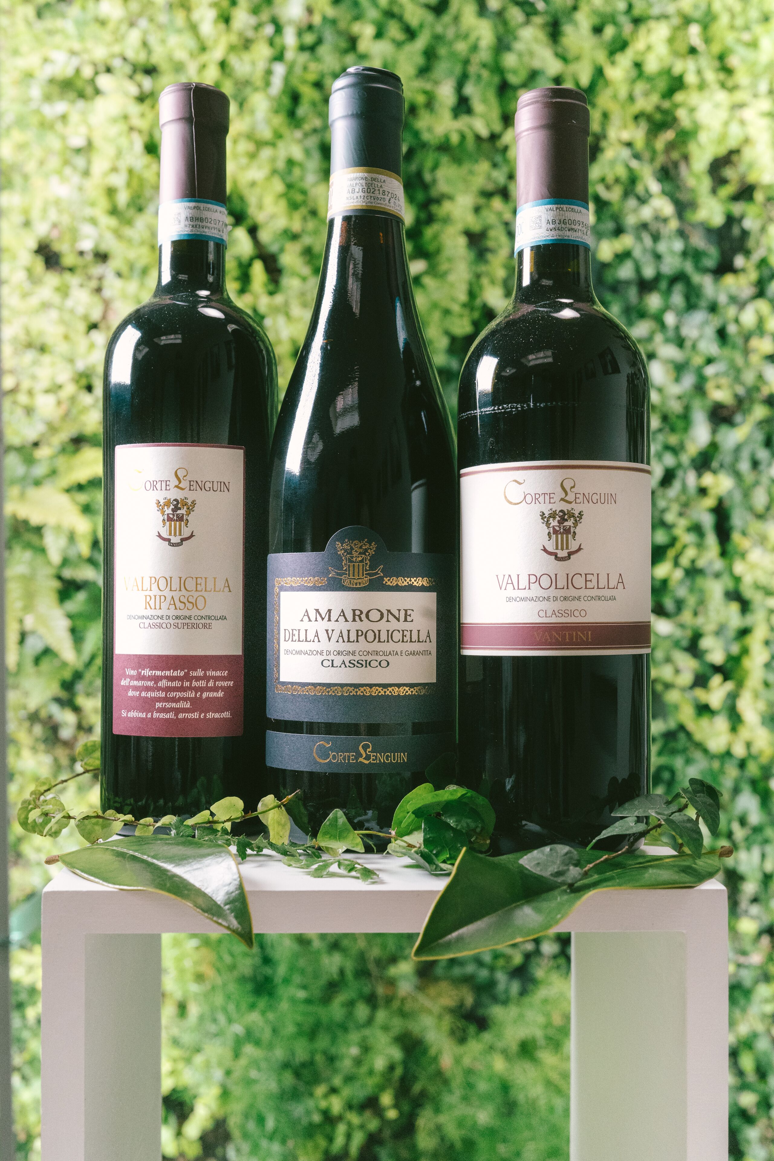Tres botellas de vino sobre un pedestal blanco, con un fondo de hojas verdes.