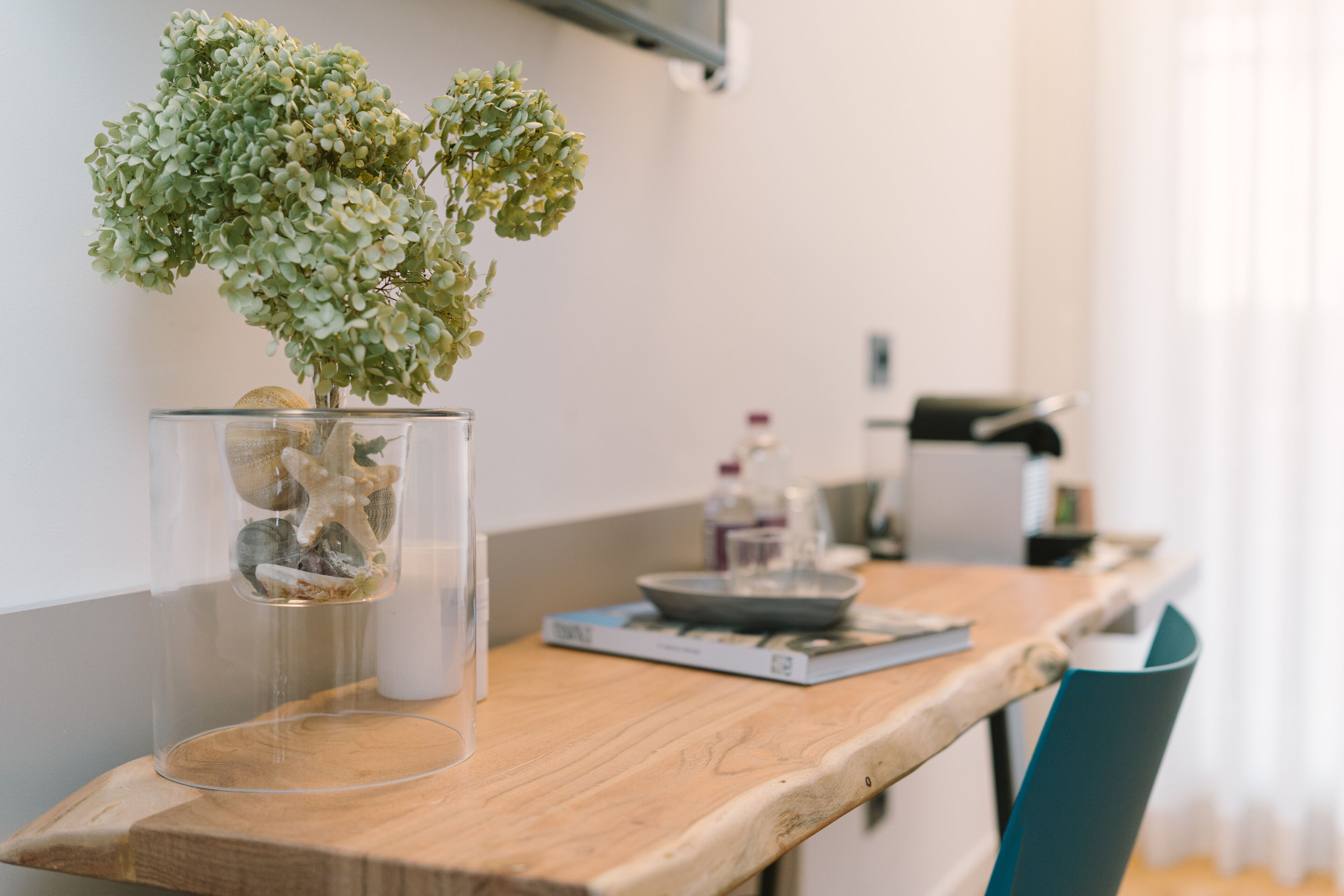 Una encimera de cocina con una planta en maceta, un vaso y un libro.