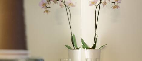 Uma mesa branca com duas orquídeas em vasos, um copo e um livro intitulado