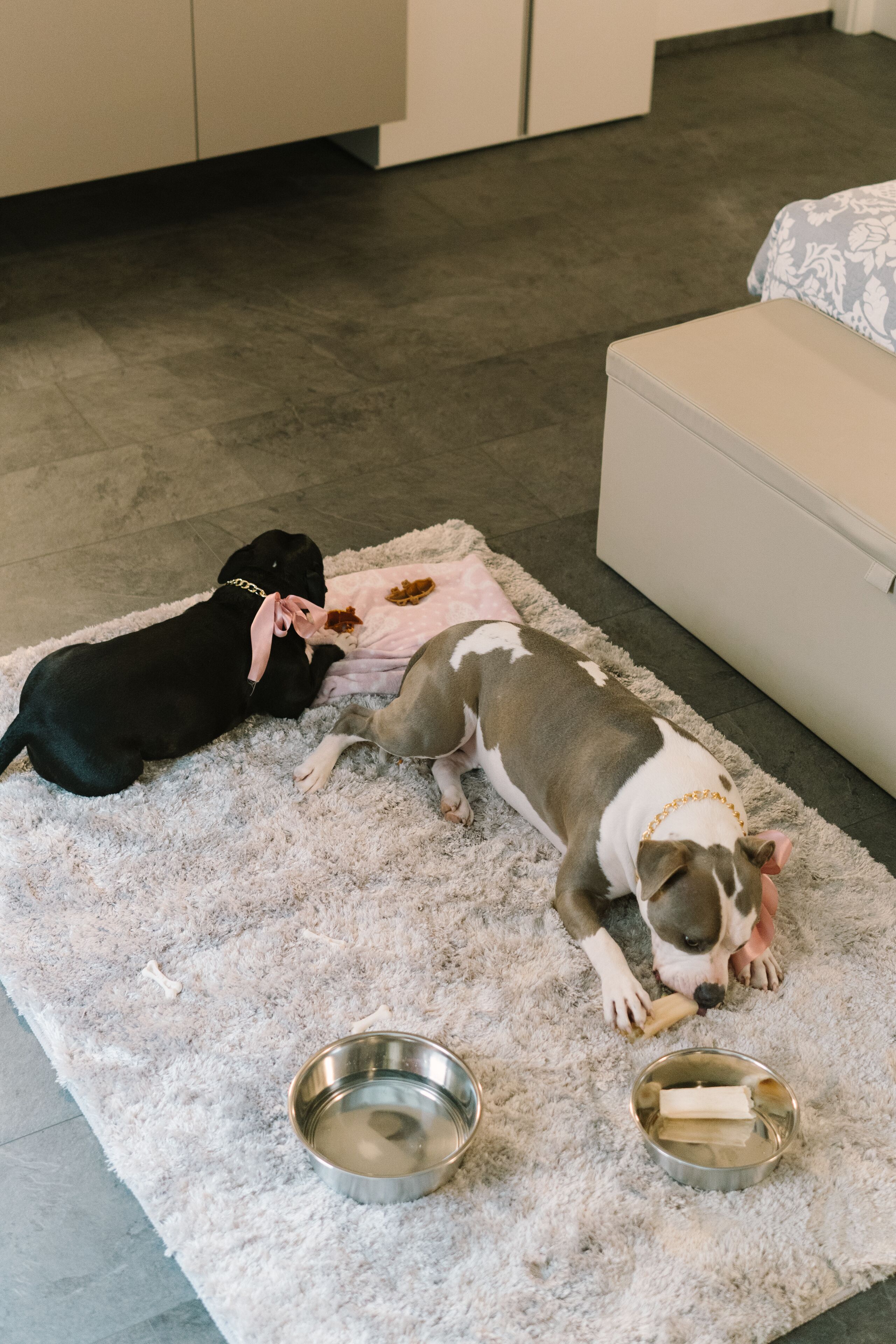 Foto - Hotel Giulietta e Romeo ***S