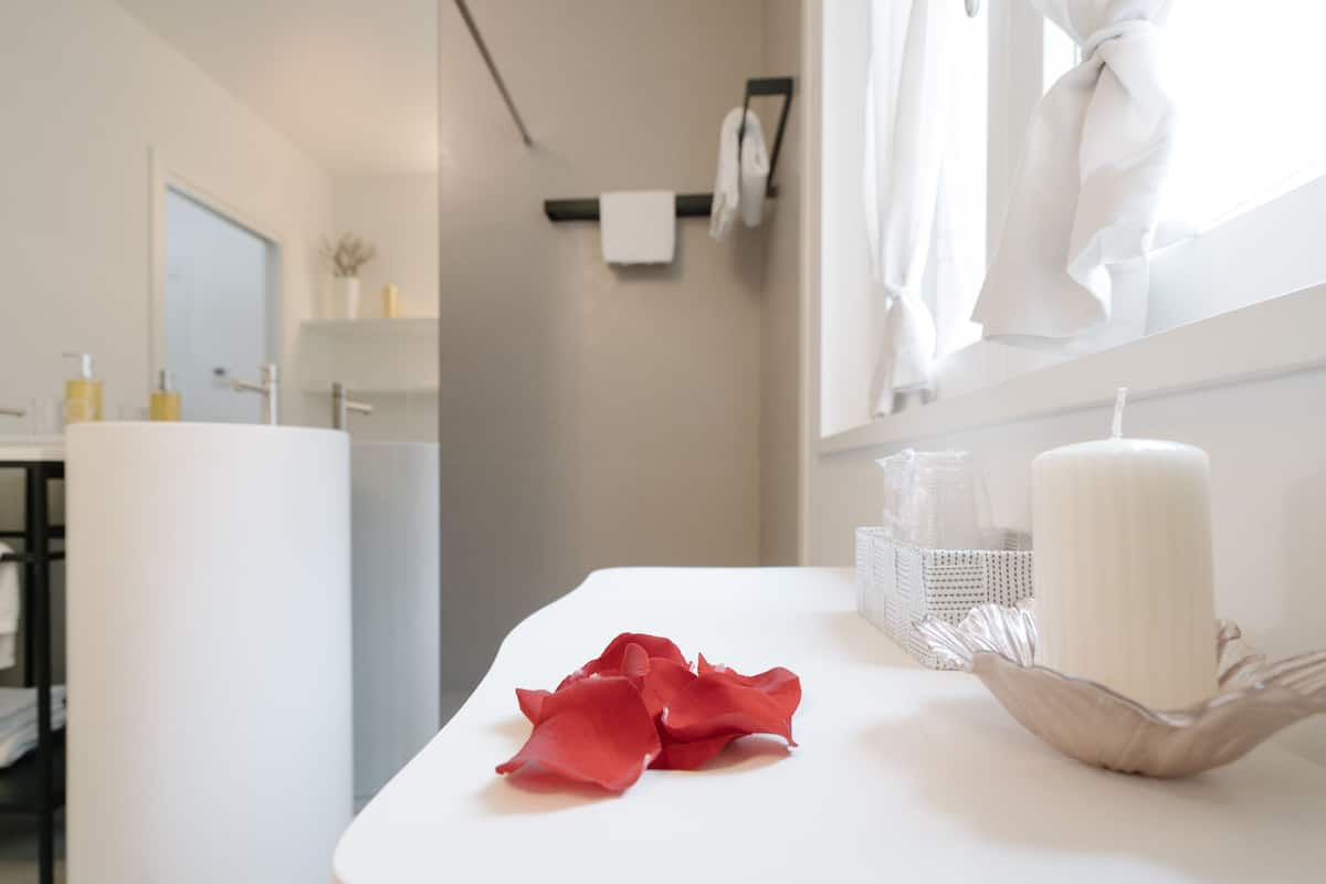 deluxe suite, 2 bedrooms, terrace, annex building | bathroom | shower, rainfall showerhead, free toiletries, hair dryer