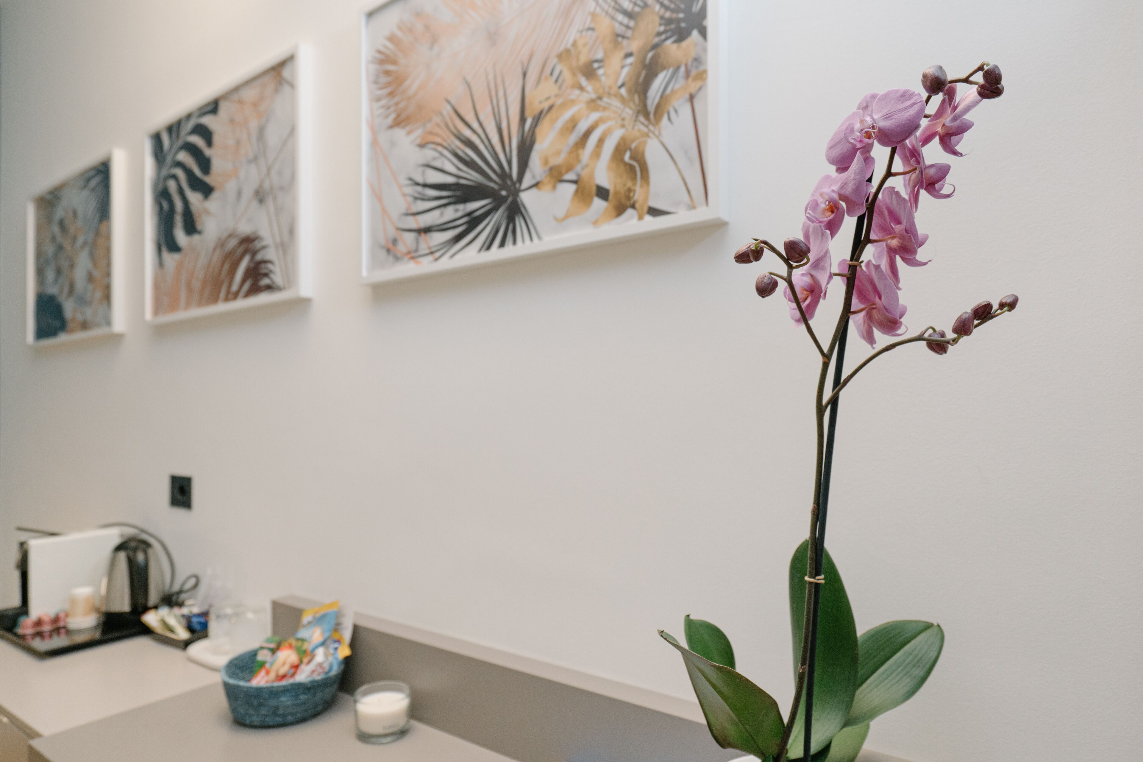 Una habitación con pared blanca, un jarrón con orquídeas rosadas, una cafetera y una cesta con libros.