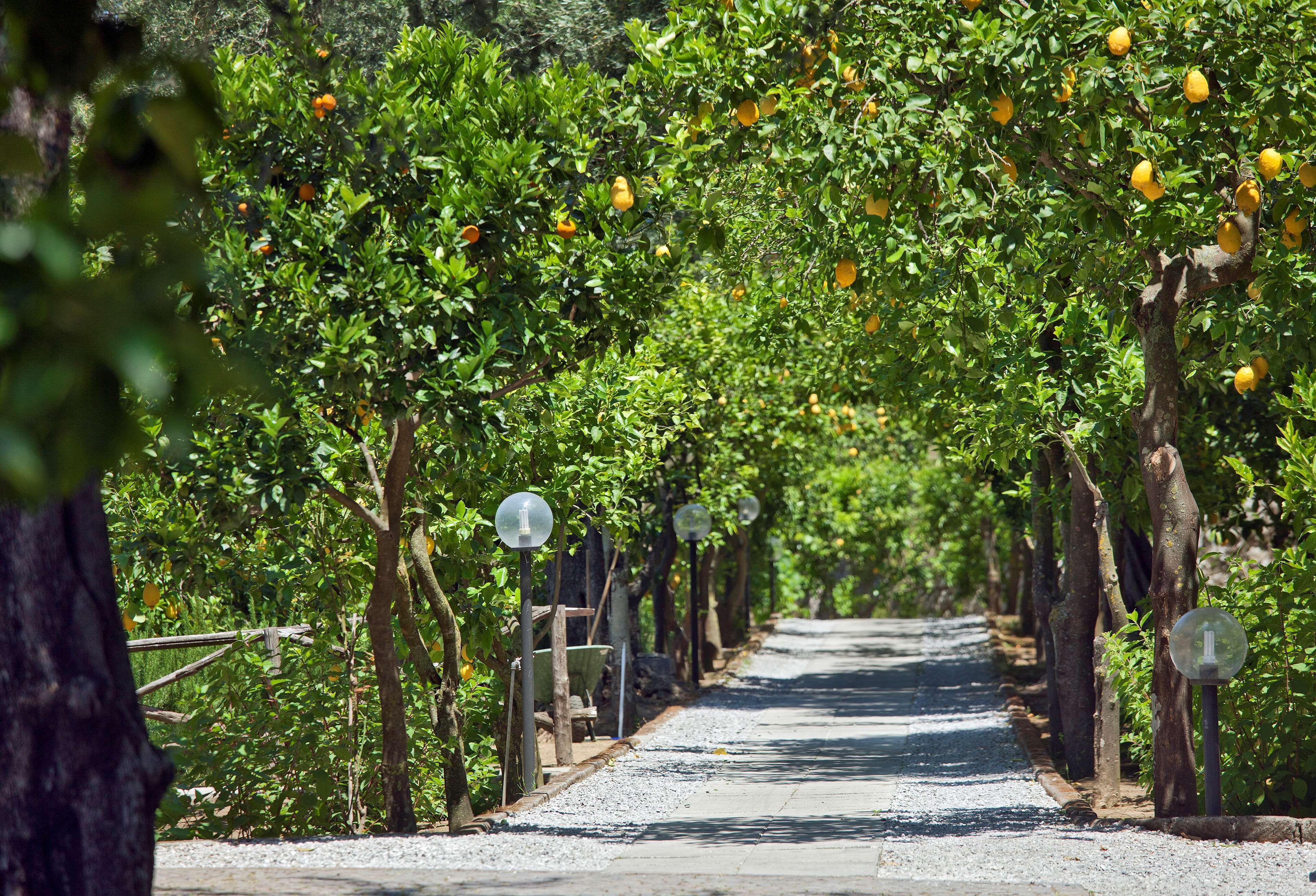 Foto - Villa Oriana Relais