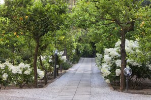 Jardim