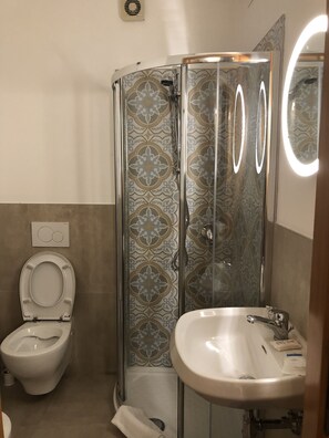 Regadera, secadora de cabello, bidet, toallas 