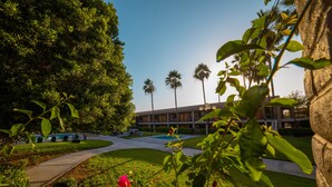 A courtyard with a pathway, palm trees, and a building with multiple windows. - Hotel Colonial Mexicali (Mexicali)